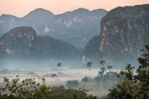Morning fog rises from the palm tree lined Vinales Valley-Cuba White Modern Wood Framed Art Print with Double Matting by Miglavs, Janis