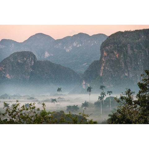 Morning fog rises from the palm tree lined Vinales Valley-Cuba Gold Ornate Wood Framed Art Print with Double Matting by Miglavs, Janis