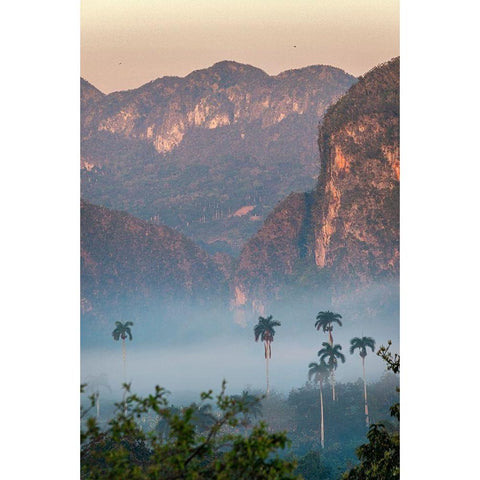 Morning fog rises from the palm tree lined Vinales Valley-Cuba Black Modern Wood Framed Art Print by Miglavs, Janis