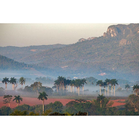 Morning fog rises from the palm tree lined Vinales Valley-Cuba Black Modern Wood Framed Art Print by Miglavs, Janis