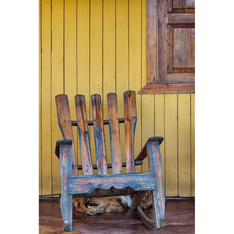 A dog sleeps under a weathered Adirondack rocking chair in Vinales-Cuba, Black Modern Wood Framed Art Print by Miglavs, Janis