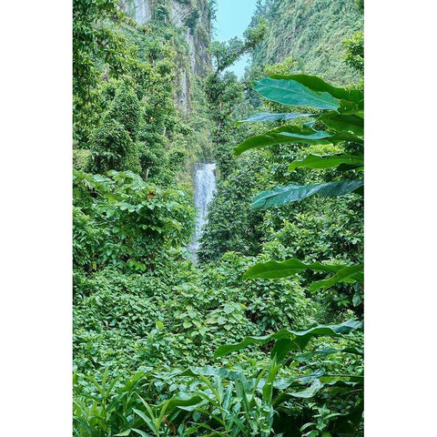 Caribbean-West Indies-Dominica Island One of Dominicas most popular natural attractions White Modern Wood Framed Art Print by Buhl, Karl