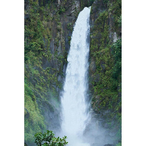 Caribbean-West Indies-Dominica Island One of Dominicas most popular natural attractions Black Modern Wood Framed Art Print by Buhl, Karl