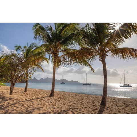 Caribbean-Grenada-Mayreau Island Sailboats at anchor off beach White Modern Wood Framed Art Print by Jaynes Gallery