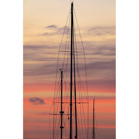 Caribbean-Grenada-Saint Vincent Sailboat mast at sunset Black Modern Wood Framed Art Print by Jaynes Gallery