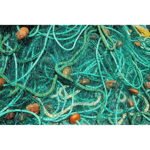 Guadeloupe Marie-Galante Island-part of France Fishnets at the marina in the town Black Modern Wood Framed Art Print with Double Matting by Buhl, Karl