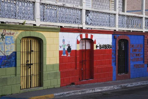 Puerto Rico, Isabela Segunda Town shop fronts Black Ornate Wood Framed Art Print with Double Matting by Flaherty, Dennis