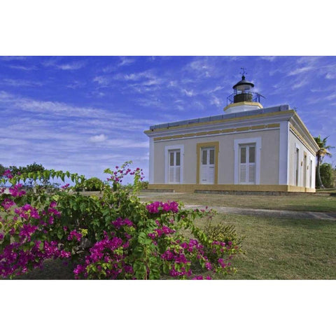 Puerto Rico Faro Punta Mulas lighthouse Black Modern Wood Framed Art Print by Flaherty, Dennis