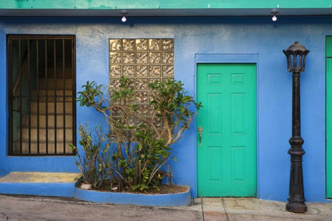 Puerto Rico Building exterior in Isabel Segunda Black Ornate Wood Framed Art Print with Double Matting by Flaherty, Dennis