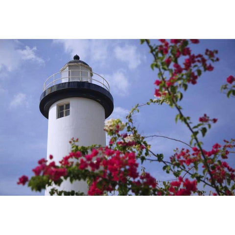 Puerto Rico, Viegues Island Coastal lighthouse Black Modern Wood Framed Art Print with Double Matting by Flaherty, Dennis