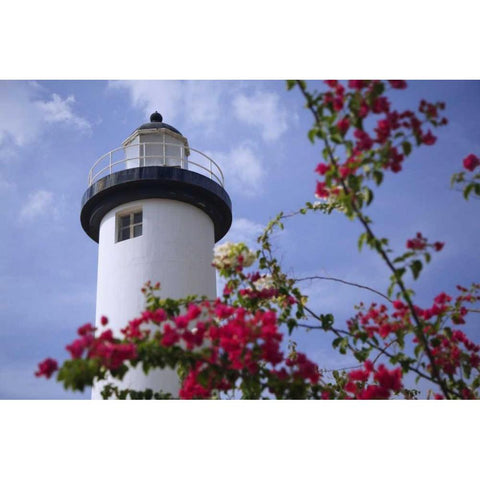 Puerto Rico, Viegues Island Coastal lighthouse White Modern Wood Framed Art Print by Flaherty, Dennis