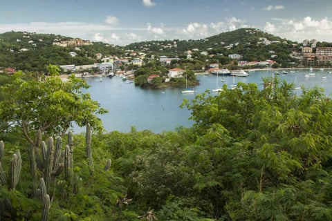 Caribbean, USA Virgin Islands, St John Cruz Bay White Modern Wood Framed Art Print with Double Matting by Illg, Cathy and Gordon