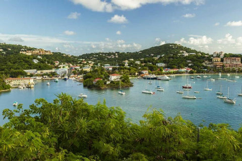 Caribbean, USA Virgin Islands, St John Cruz Bay Black Ornate Wood Framed Art Print with Double Matting by Illg, Cathy and Gordon