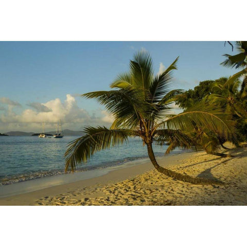 Caribbean, USA Virgin Islands Beach scenic Black Modern Wood Framed Art Print with Double Matting by Illg, Cathy and Gordon
