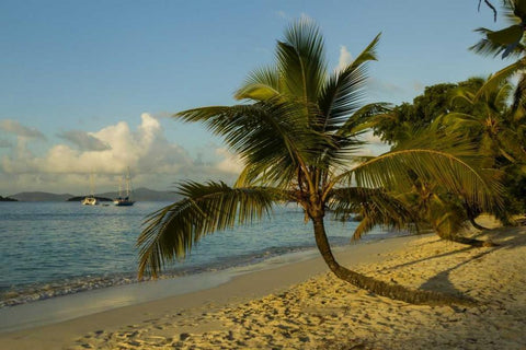 Caribbean, USA Virgin Islands Beach scenic White Modern Wood Framed Art Print with Double Matting by Illg, Cathy and Gordon