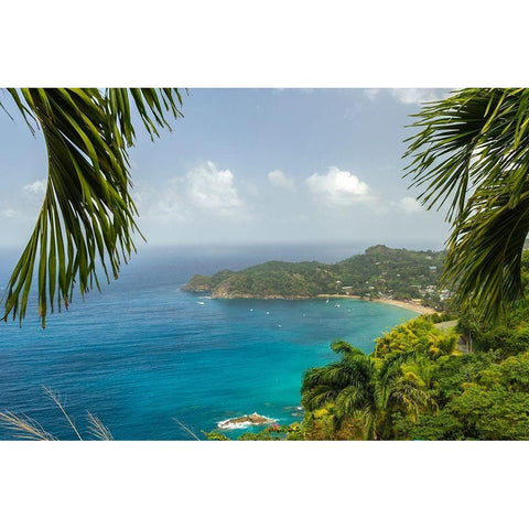 Caribbean-Tobago Castara Bay ocean beach and jungle landscape  Black Modern Wood Framed Art Print by Jaynes Gallery