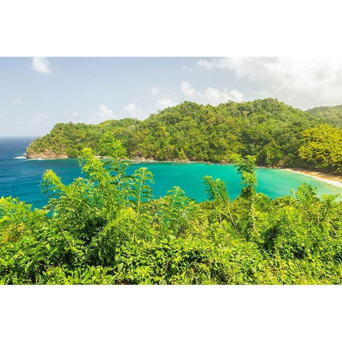 Caribbean-Tobago Ocean cove and jungle landscape  White Modern Wood Framed Art Print by Jaynes Gallery