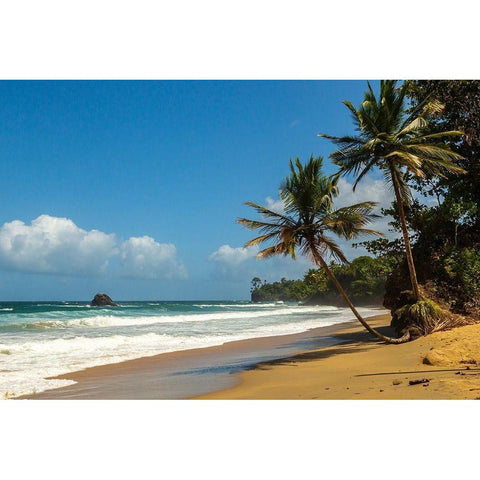 Caribbean-Trinidad-Blanchisseuse Bay Beach and ocean landscape  Black Modern Wood Framed Art Print by Jaynes Gallery