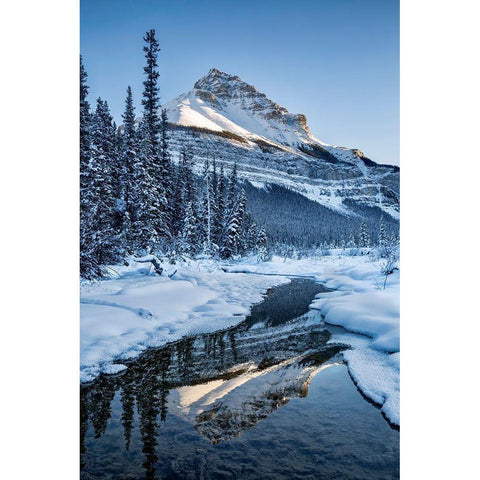 Canada-Alberta-Jasper National Park-Tangle Peak reflected in Beauty Creek Gold Ornate Wood Framed Art Print with Double Matting by Collins, Ann