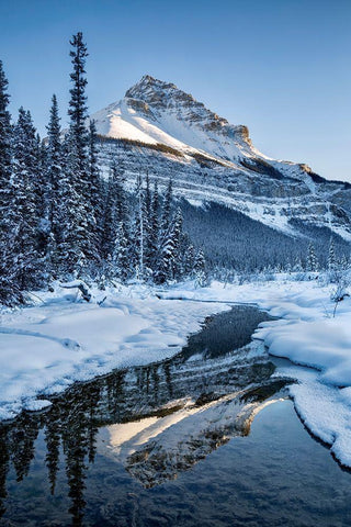 Canada-Alberta-Jasper National Park-Tangle Peak reflected in Beauty Creek Black Ornate Wood Framed Art Print with Double Matting by Collins, Ann