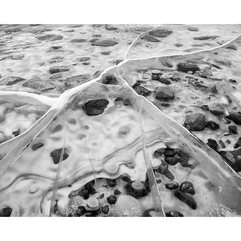 Canada-Alberta-Canmore-Spray Valley Provincial Park-Ice abstract at Spray Lakes White Modern Wood Framed Art Print by Collins, Ann