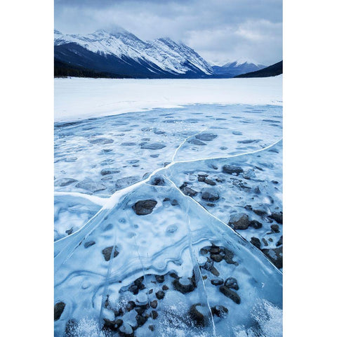 Canada-Alberta-Canmore-Spray Valley Provincial Park-Dawn at Spray Lakes Black Modern Wood Framed Art Print by Collins, Ann