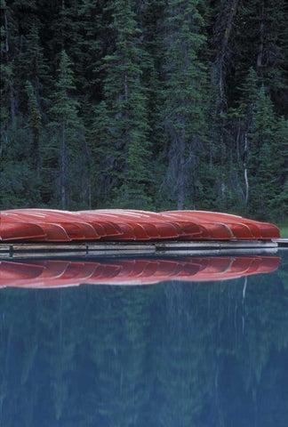 Canada, Alberta Canoes line the Lake Louise Black Ornate Wood Framed Art Print with Double Matting by Anon, Josh