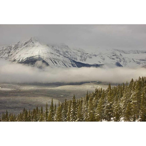 Canada, Banff NP A low cloud bank in the valley Black Modern Wood Framed Art Print by Grall, Don