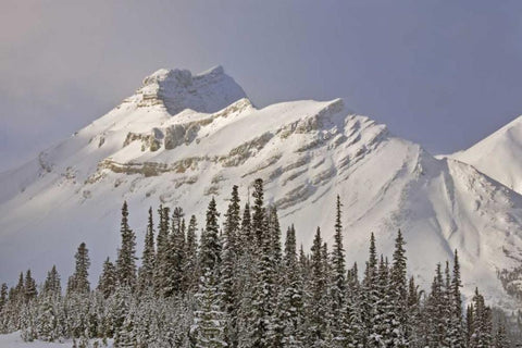 Canada, Alberta, Banff NP Summit of Nigel Peak White Modern Wood Framed Art Print with Double Matting by Grall, Don