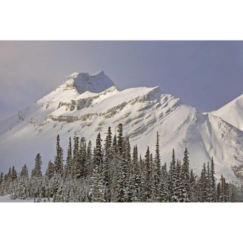 Canada, Alberta, Banff NP Summit of Nigel Peak White Modern Wood Framed Art Print by Grall, Don