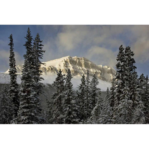 Canada, Banff NP Bow Peak after a snowstorm Black Modern Wood Framed Art Print with Double Matting by Grall, Don