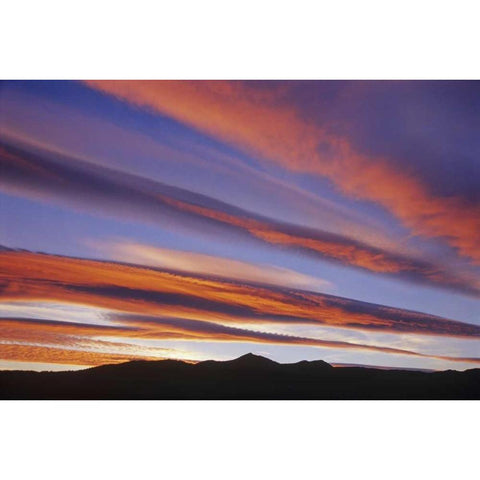 Canada, Alberta, Burmis Sunset over the Rockies Black Modern Wood Framed Art Print by Grandmaison, Mike