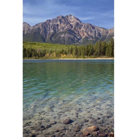Canada, Jasper NP Patricia Lake and Pyramid Mt White Modern Wood Framed Art Print by Paulson, Don