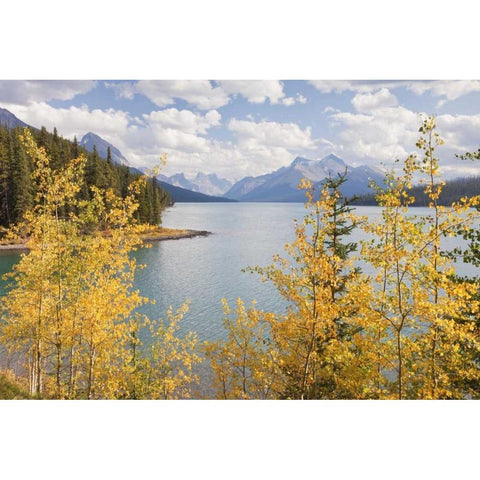 Canada, Jasper NP Maligne Lake and mountains Black Modern Wood Framed Art Print by Paulson, Don