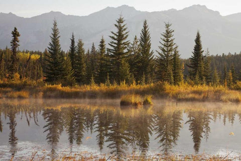 Canada, Alberta, Jasper NP Cottonwood Slough Black Ornate Wood Framed Art Print with Double Matting by Paulson, Don
