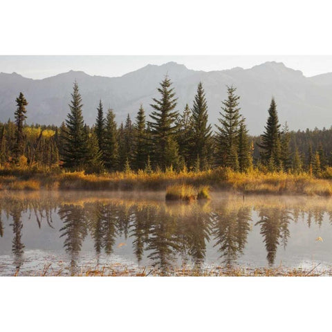 Canada, Alberta, Jasper NP Cottonwood Slough Black Modern Wood Framed Art Print by Paulson, Don