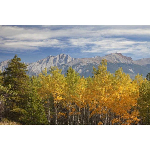 Canada, Alberta, Jasper NP Autumn landscape Black Modern Wood Framed Art Print by Paulson, Don