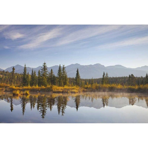 Canada, Alberta, Jasper NP Cottonwood Slough Black Modern Wood Framed Art Print by Paulson, Don