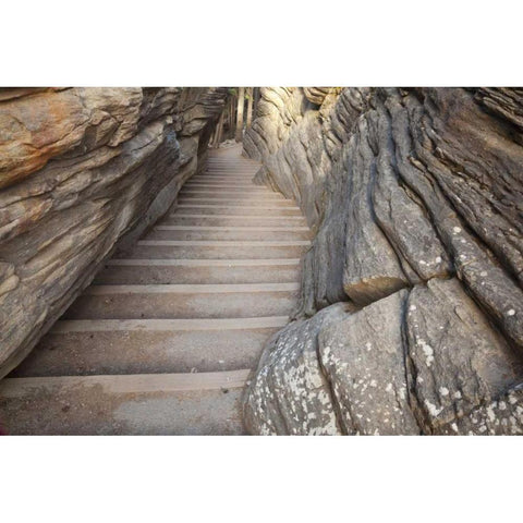 Canada, Alberta, Jasper NP Stairway on trail Gold Ornate Wood Framed Art Print with Double Matting by Paulson, Don