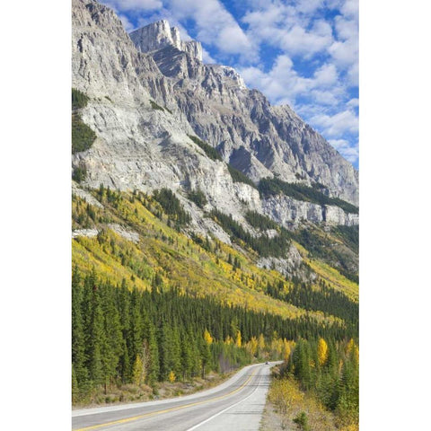 Canada, Alberta, Jasper NP The Icefields Parkway Black Modern Wood Framed Art Print by Paulson, Don