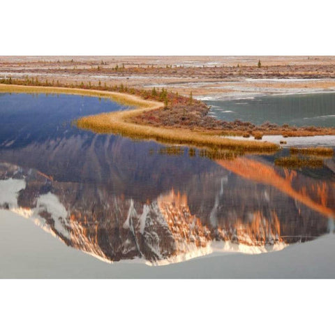 Canada, Jasper NP Mt Kitchener in Sunwapta River Black Modern Wood Framed Art Print by Paulson, Don