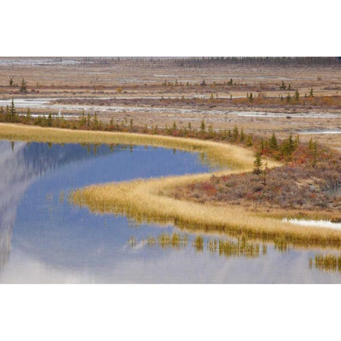 Canada, Alberta, Jasper NP Sunwapta River White Modern Wood Framed Art Print by Paulson, Don