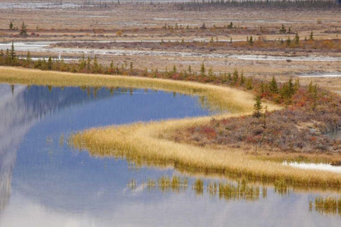 Canada, Alberta, Jasper NP Sunwapta River White Modern Wood Framed Art Print with Double Matting by Paulson, Don