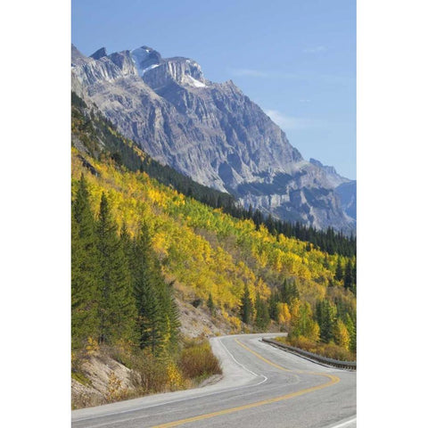 Canada, Alberta, Jasper NP The Icefields Parkway Gold Ornate Wood Framed Art Print with Double Matting by Paulson, Don