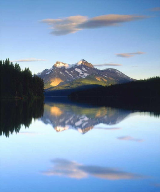 Image Only