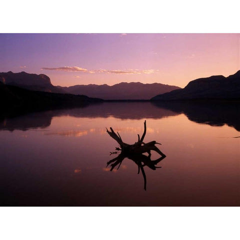 Canada, Alberta, Jasper Lake in Jasper NP White Modern Wood Framed Art Print by Grandmaison, Mike