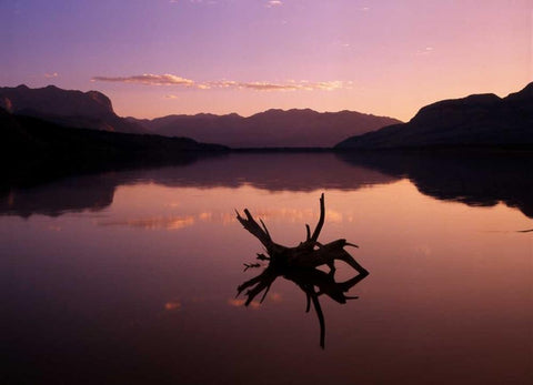 Canada, Alberta, Jasper Lake in Jasper NP White Modern Wood Framed Art Print with Double Matting by Grandmaison, Mike