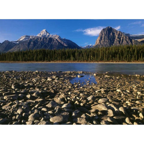 Canada, Athabasca River and Canadian Rockies Black Modern Wood Framed Art Print by Grandmaison, Mike