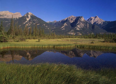 Canada, Alberta, Jasper Lake in Jasper NP White Modern Wood Framed Art Print with Double Matting by Grandmaison, Mike