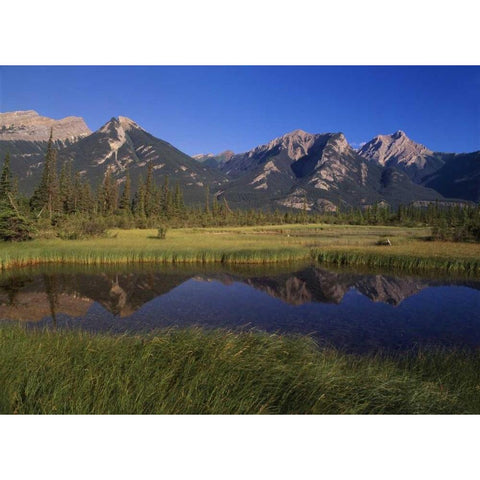 Canada, Alberta, Jasper Lake in Jasper NP Black Modern Wood Framed Art Print by Grandmaison, Mike
